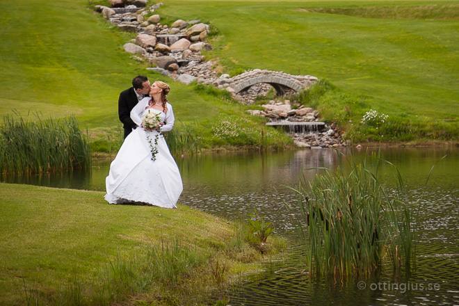 Bröllopsfotografering Albatross Golfklubb