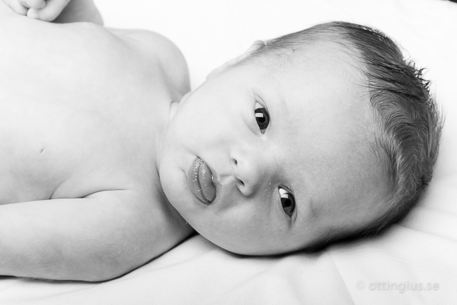 Nyfödd fotografering